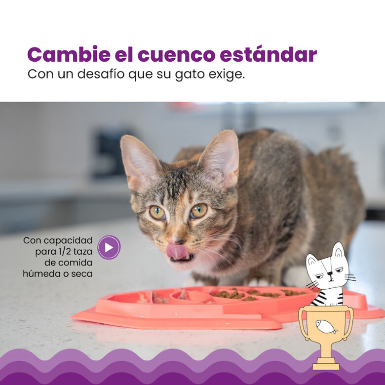 Catstages Fishie Fun Pez de Juguete Dispensador de Comida para gatos thumbnail