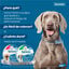 1 collar >8 kg Seresto Collar Antiparasitario para perros, , large indicador imagen numero 7