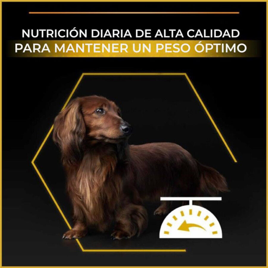 Purina Pro Plan Adult Light Esterilizado Pienso Pollo para perros, , large Imagen numero 3