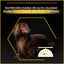 Purina Pro Plan Adult Light Esterilizado Pienso Pollo para perros, , large indicador imagen numero 3