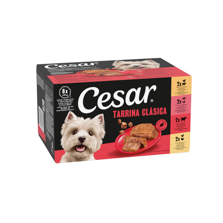 8 tarrinas x 150 g Cesar Selecci&oacute;n Clasicos Tarrina en Pat&eacute; para Perros , , large Imagen numero 1