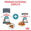 10 kg Royal Canin Intense Hairball pienso para gatos, , large indicador imagen numero 6