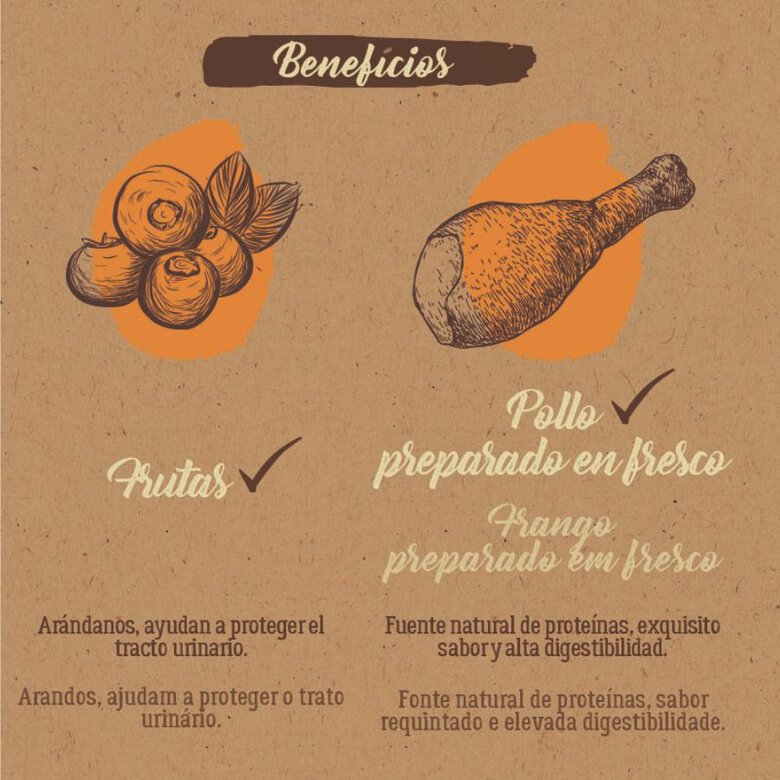 2 kg True Origins Pure Senior Pollo pienso para gatos,  Imagen numero 5 2 kg True Origins Pure Senior Pollo pienso para gatos, , large Imagen numero 5