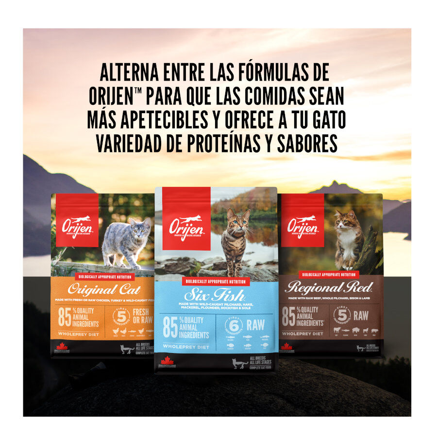 5.4 kg Orijen Fit&Trim pienso para gatos, , large Imagen numero 8