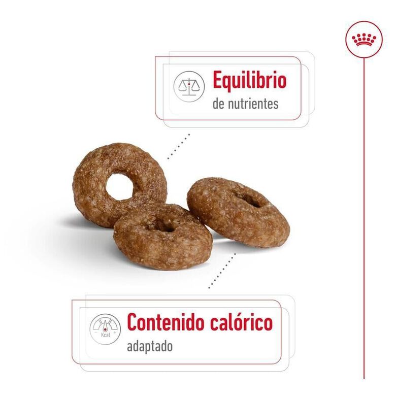 Royal Canin Mini Ageing +12 pienso para perros thumbnail