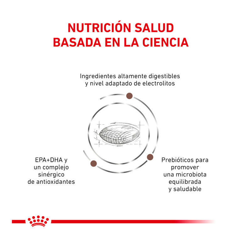 Royal Canin Veterinary Gastrointestinal Hairball pienso para gatos thumbnail