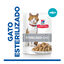 85 g Hill's Science Plan Sterilised Young Adult Trucha Sobre en Salsa para gatos, , large indicador imagen numero 2