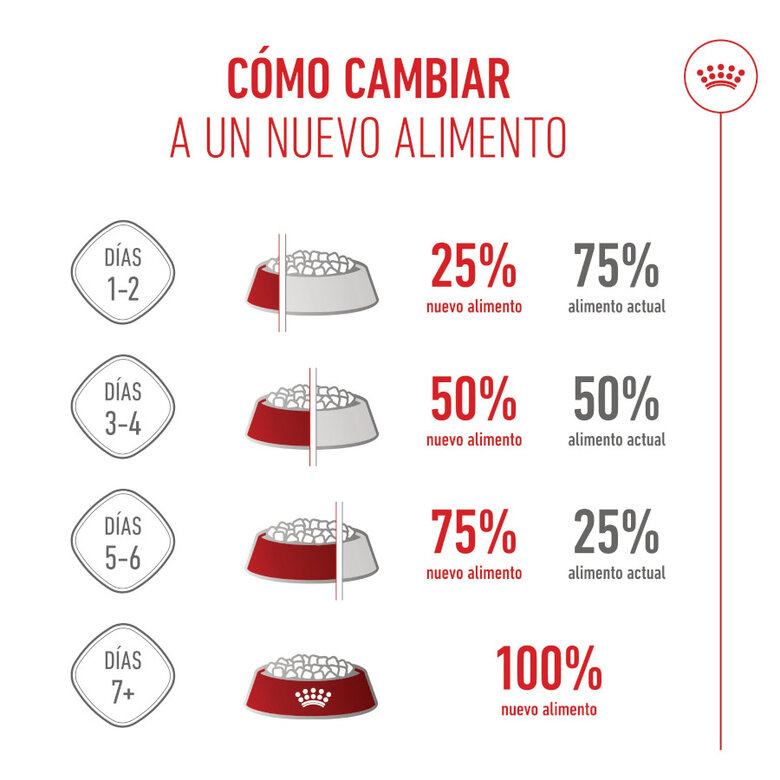 15 kg Royal Canin Puppy Medium pienso para perros,  Imagen numero 9 15 kg Royal Canin Puppy Medium pienso para perros, , large Imagen numero 9