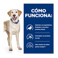 Hill's Prescription Diet D/D Food Sensitive Pato pienso para perros, , large image number null