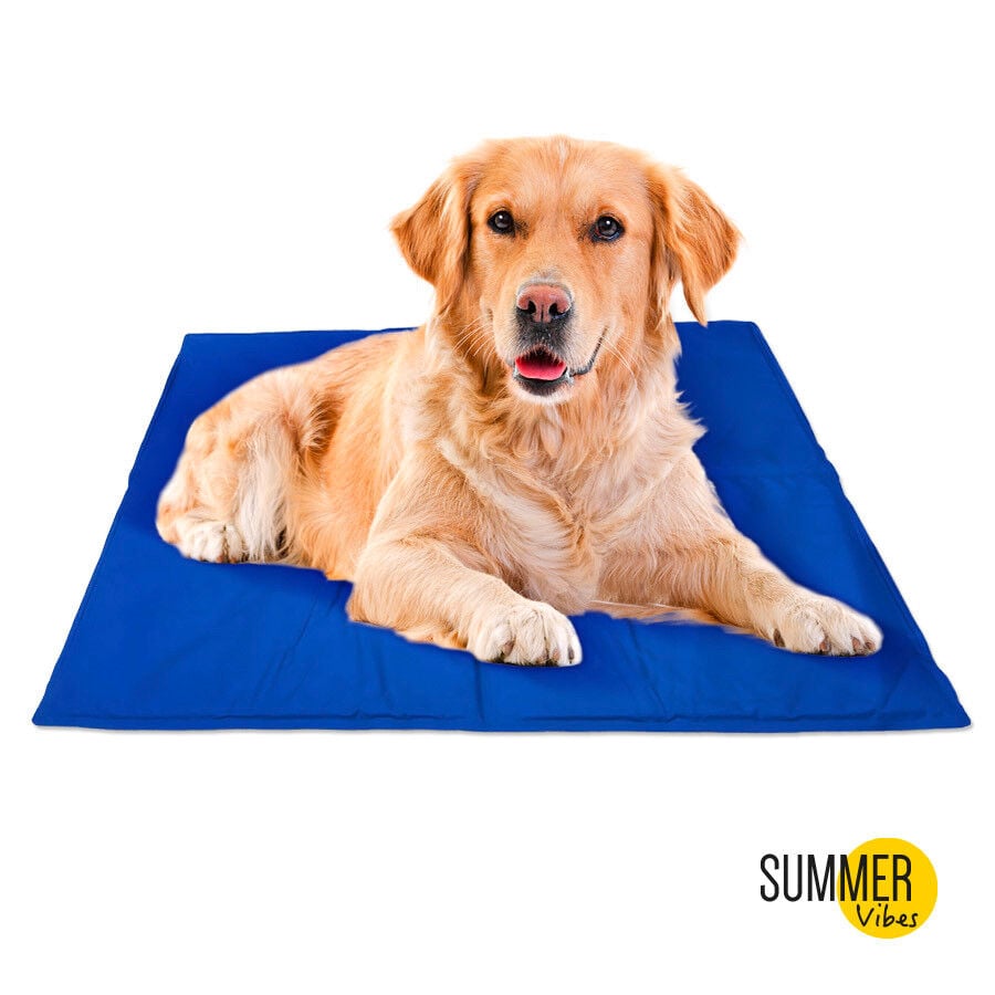 Summer Vibes Manta Refrescante Azul para perros, , large Imagen numero 2