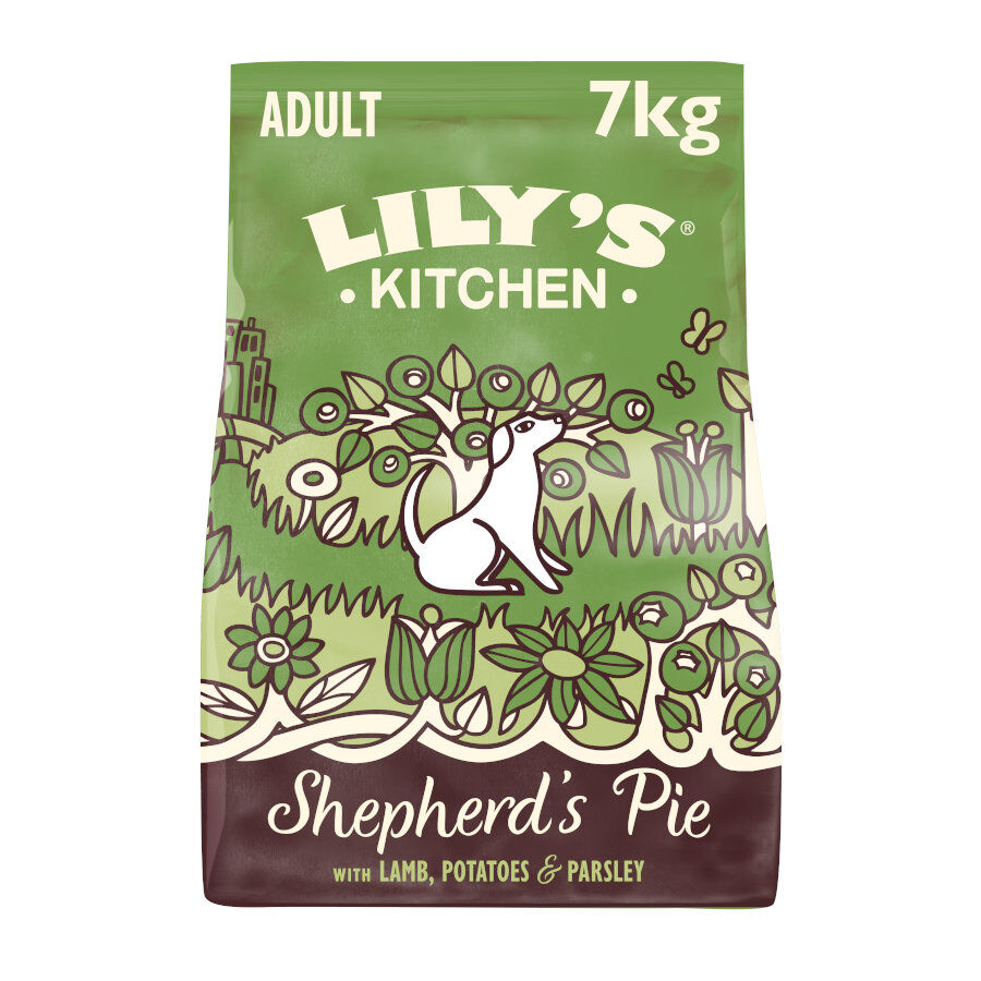 Lily's Kitchen Adult Cordero pienso para perros
