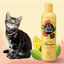 Pet Head champú nutritivo de fresa/limón para gatos, , large indicador imagen numero 2
