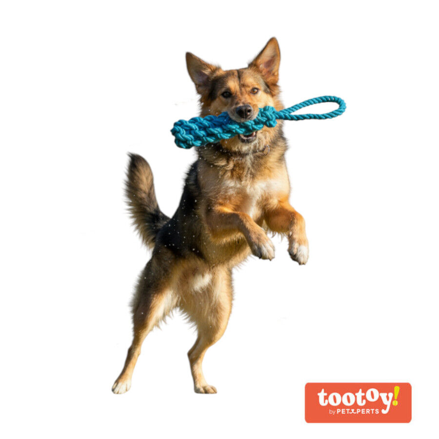 Tootoy! Mordedor de Cuerda Azul para perros, , large Imagen numero 8