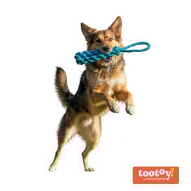 Tootoy! Mordedor de Cuerda Azul para perros