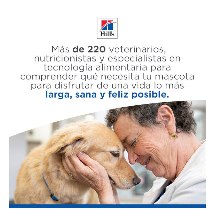 6 kg Hill's Science Plan Hipoalerg&eacute;nico Small y Mini Salm&oacute;n pienso para perros, , large Imagen numero 10
