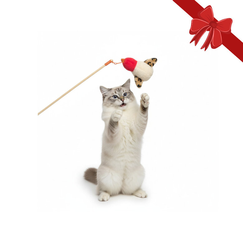 Wonder Christmas Juguete Caña Navideña para gatos,  Imagen numero 1 Wonder Christmas Juguete Caña Navideña para gatos, , large Imagen numero 1