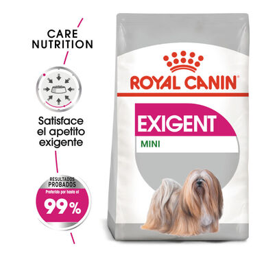 Royal Canin Mini Exigent pienso para perros 