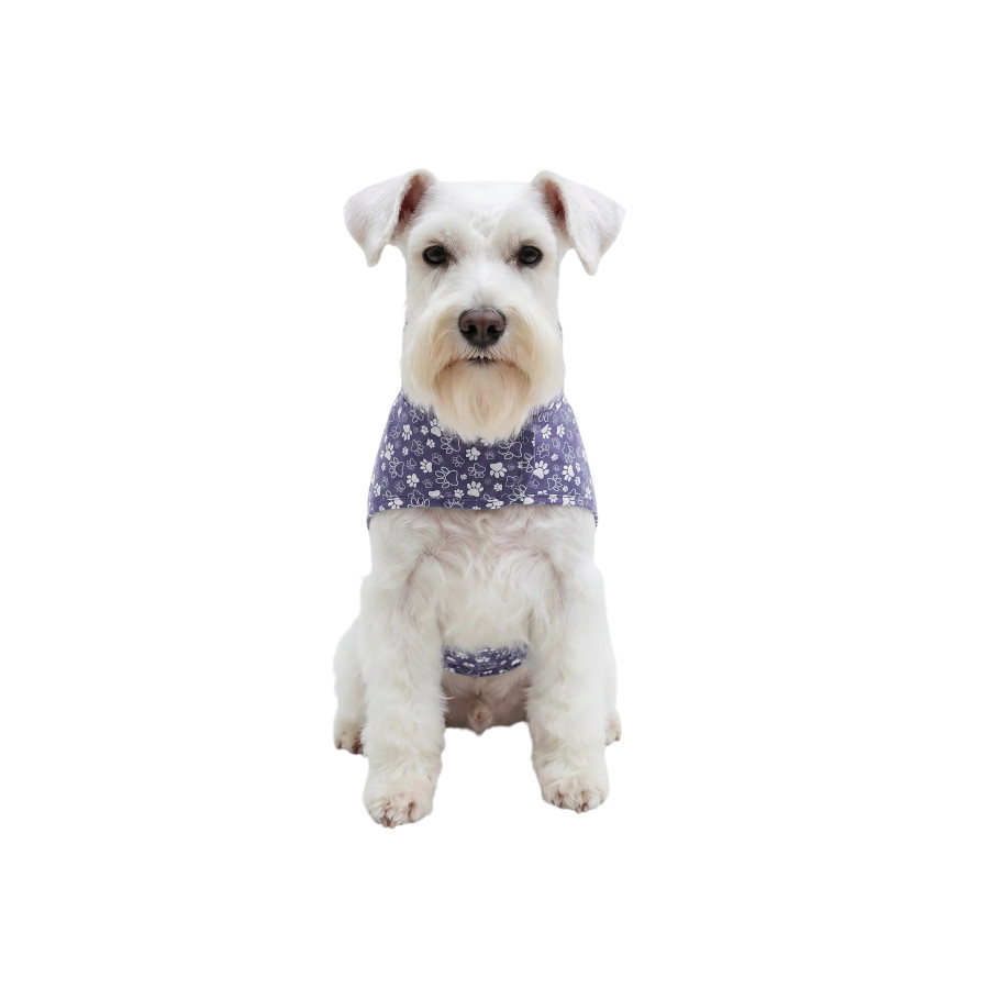 Gotoo Impermeable Estampado Huellas para perros, , large Imagen numero 7
