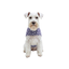 Gotoo Impermeable Estampado Huellas para perros, , large indicador imagen numero 7