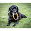 Nylabone Extreme Chew Ring Mordedor Redondo Sabor a Hamburguesa para perros, , large indicador imagen numero 2