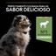 Pro Plan Puppy  Medium Digestión Cordero pienso para perros, , large indicador imagen numero 7