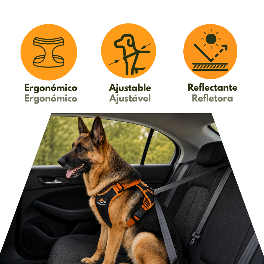 Outech X-perience Arn&eacute;s de Coche para perros, , large Imagen numero 5