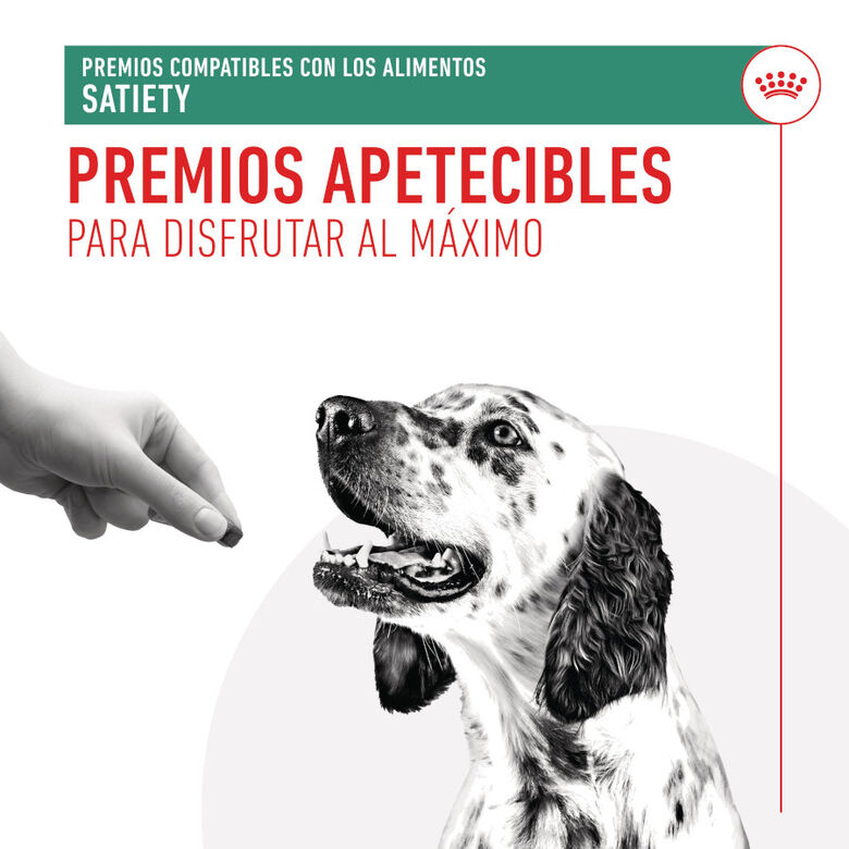 Royal Canin Treats Satiefy Snacks para Perros thumbnail