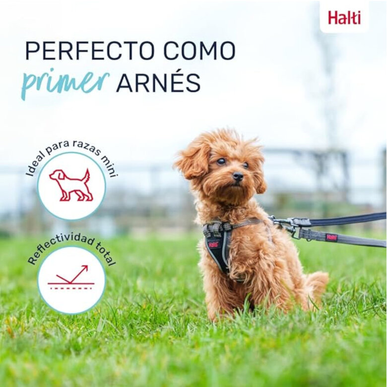 Halti arnés anatómico para cachorros y perros pequeños,  Imagen numero 3 Halti arnés anatómico para cachorros y perros pequeños, , large Imagen numero 3