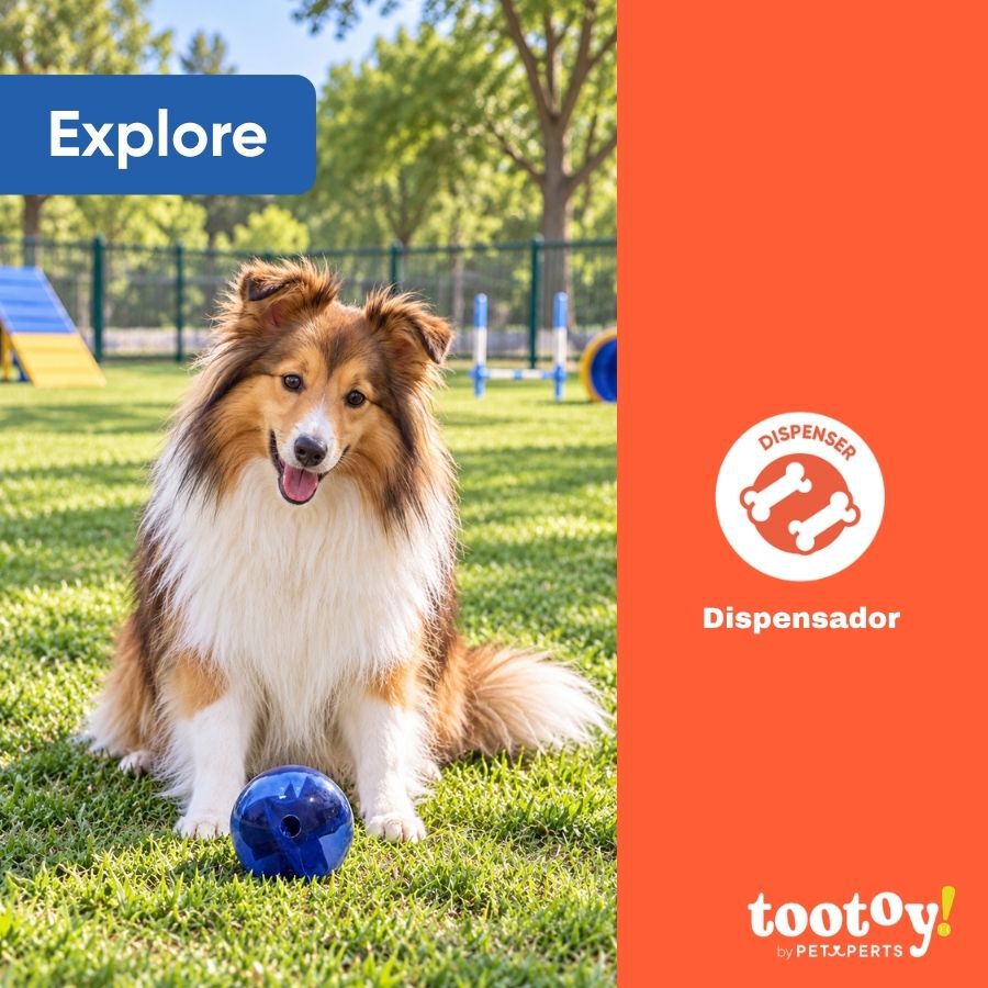 Tootoy! Explore Pelota Laberinto Recompensa Juguete para perros, , large Imagen numero 4