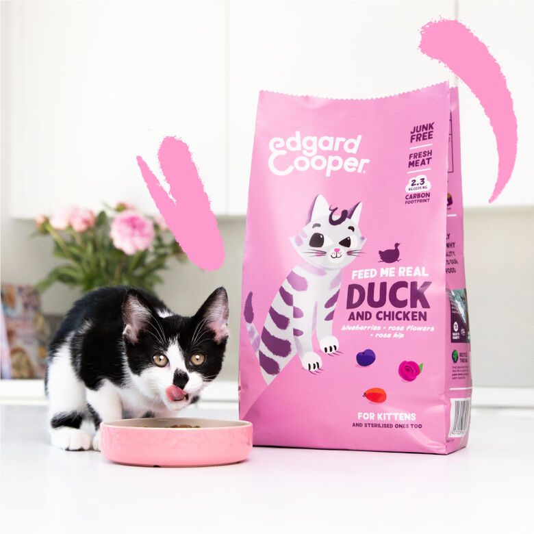 Edgard &amp; Cooper Kitten Pato y Pollo pienso thumbnail