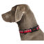 Halti collar acolchado cómodo rojo para perros, , large indicador imagen numero 2