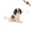 1 bolsita Wonder Christmas Bocados de Pollo Snacks para perros, , large indicador imagen numero 1