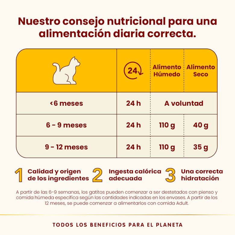 70 g Almo Nature Kitten HFC Pollo lata para gatitos,  Imagen numero 4 70 g Almo Nature Kitten HFC Pollo lata para gatitos, , large Imagen numero 4