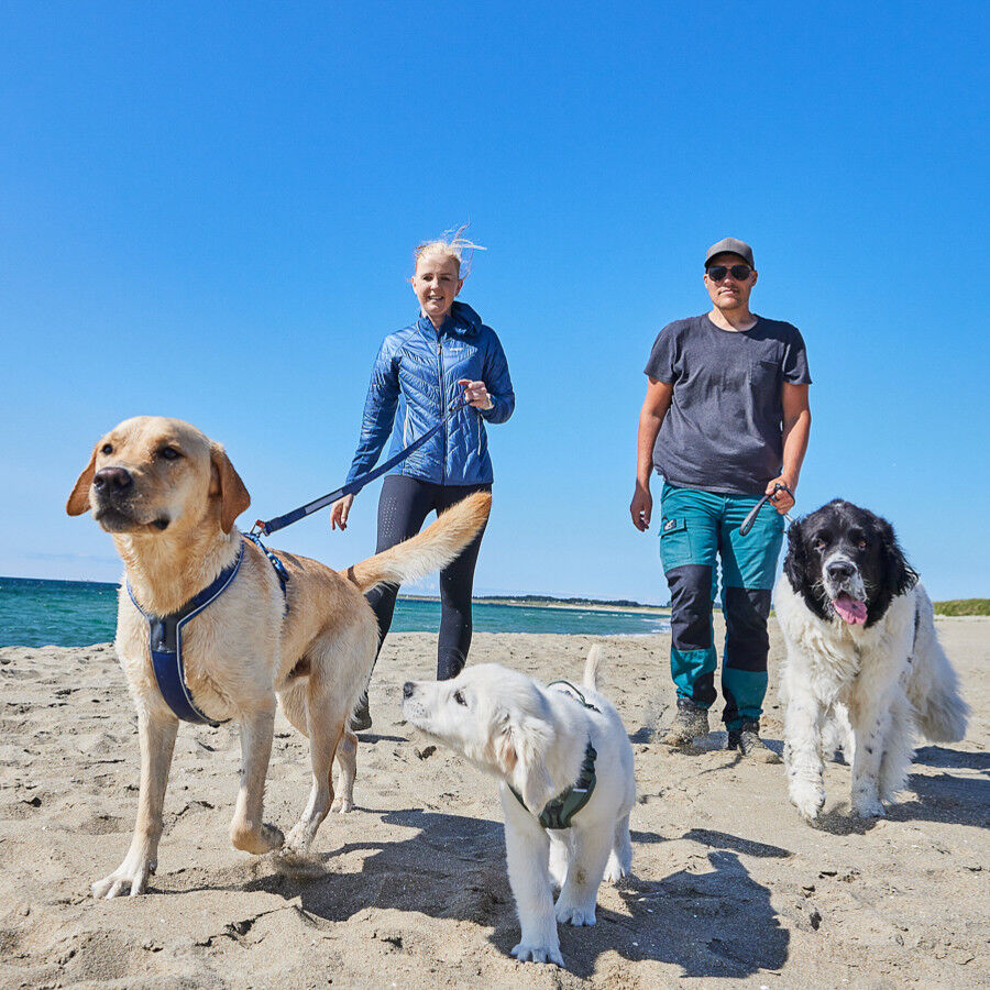 Non-stop dogwear Line 5.0 Arnés Azul para perros thumbnail