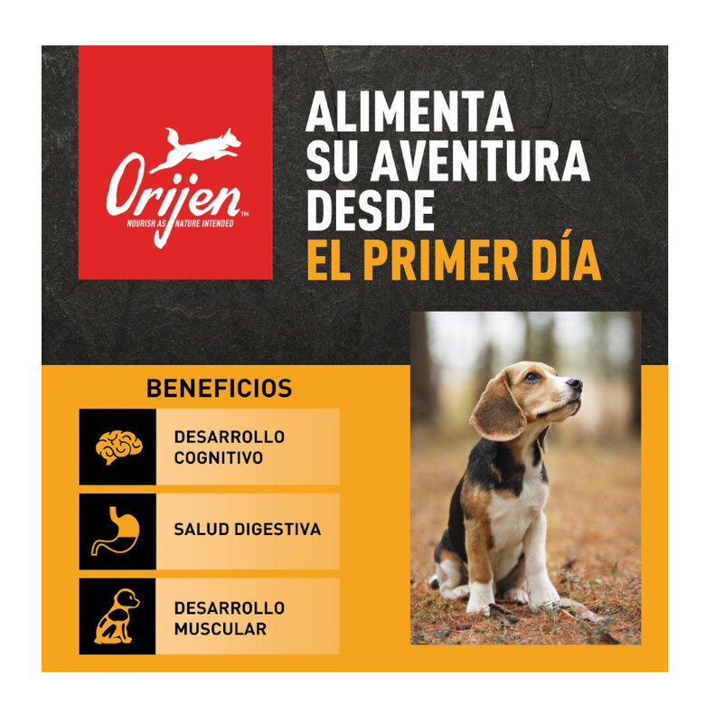 11 kg Orijen Puppy pienso para perros,  Imagen numero 2 11 kg Orijen Puppy pienso para perros, , large Imagen numero 2