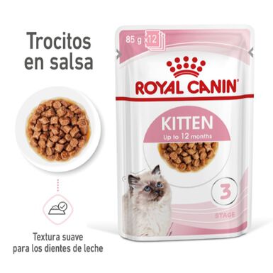 Royal Canin Kitten Sterilised sobre en salsa para gatos  