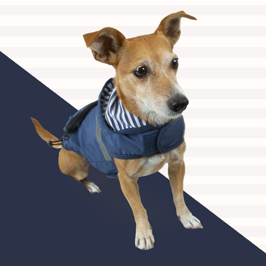 Outech Impermeable con Bolsillo Azul Marino para perros, , large Imagen numero 2