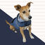 Outech Impermeable con Bolsillo Azul Marino para perros, , large indicador imagen numero 2
