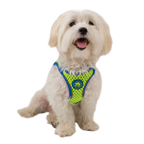 TK-Pet Easy Click lima arn&eacute;s para perros Imagen numero 1