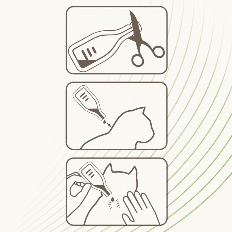 Beaphar Pipetas repelentes para gatos,  Imagen numero 3 Beaphar Pipetas repelentes para gatos, , large Imagen numero 3