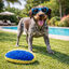 Summer Vibes Pelota Rugby Ovalado con Sonido Peluche para perros, , large indicador imagen numero 1