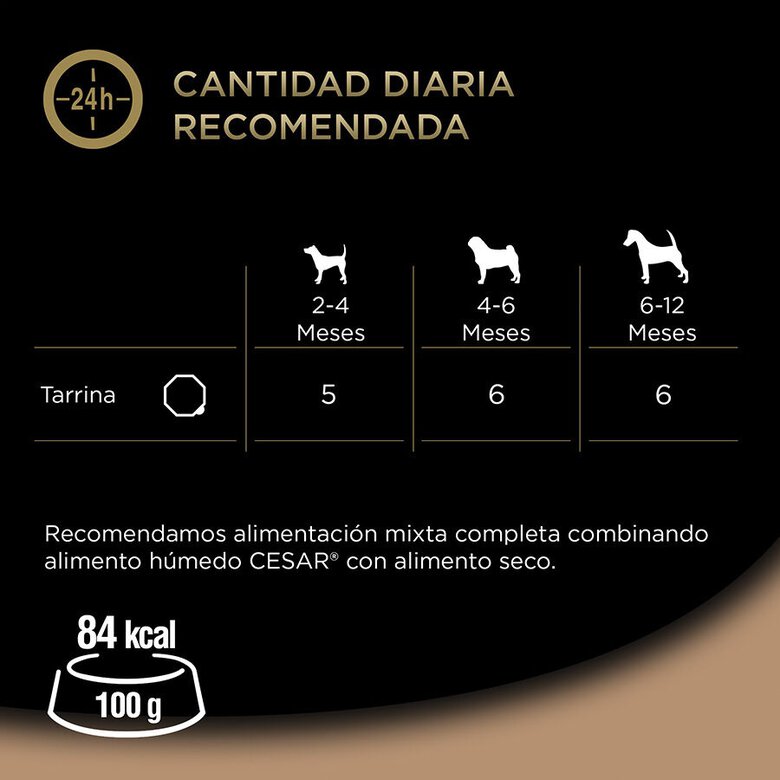 150 g Cesar Pavo y Ternera Tarrina en Gelatina para Cachorros,  Imagen numero 3 150 g Cesar Pavo y Ternera Tarrina en Gelatina para Cachorros, , large Imagen numero 3