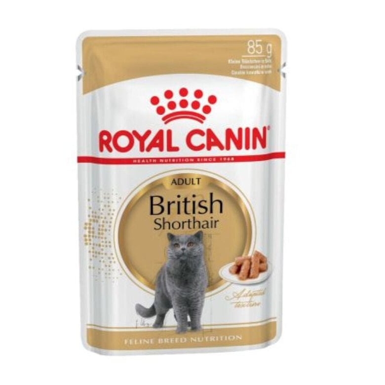 85 g Royal Canin Sobre en Salsa British Shorthair Adult,  Imagen numero 1 85 g Royal Canin Sobre en Salsa British Shorthair Adult, , large Imagen numero 1