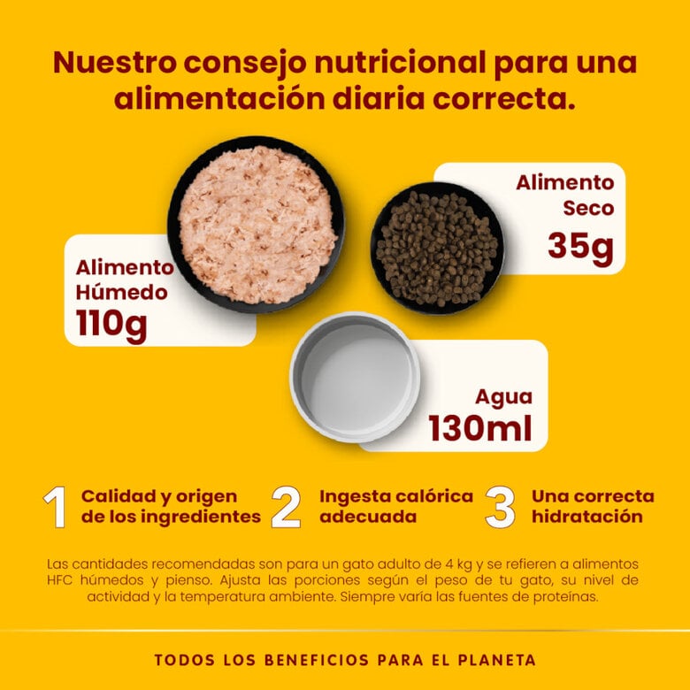 70 g Almo Nature HFC Muslo de Pollo lata para gatos ,  Imagen numero 4 70 g Almo Nature HFC Muslo de Pollo lata para gatos , , large Imagen numero 4
