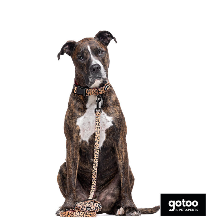 Gotoo Porta bolsas estampado leopardo marrón para perros thumbnail