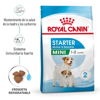 Royal Canin Starter MotheryBaby Mini pienso para perros
