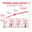 10 kg Royal Canin Kitten pienso para gatos, , large indicador imagen numero 10