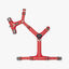 Dog Copenhagen Comfort Walk Air Arnés Rojo para perros, , large indicador imagen numero 4