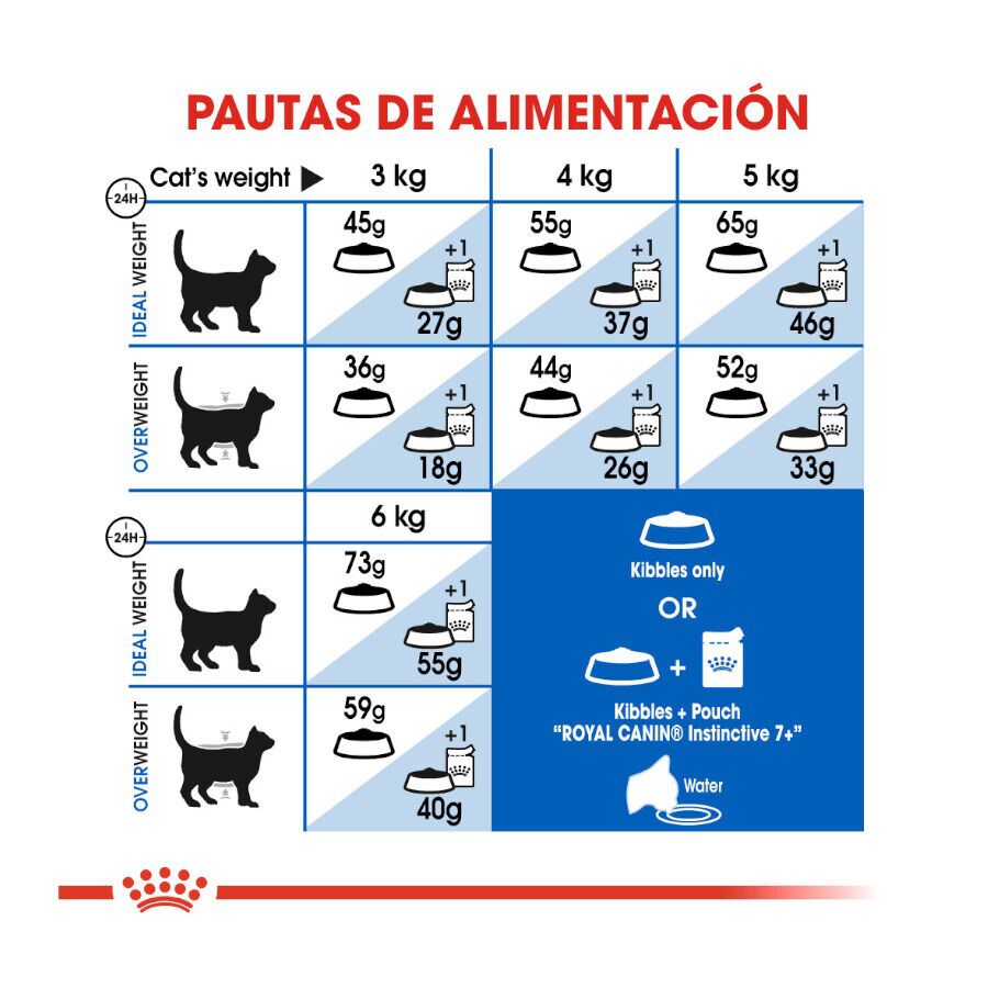 Royal Canin Home Life Indoor 7+ pienso para gatos thumbnail