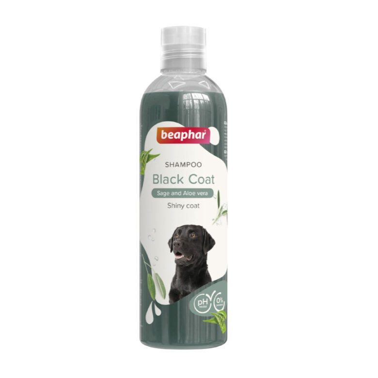 Beaphar Pelo Negro Champú para perros,  Imagen numero 1 Beaphar Pelo Negro Champú para perros, , large Imagen numero 1